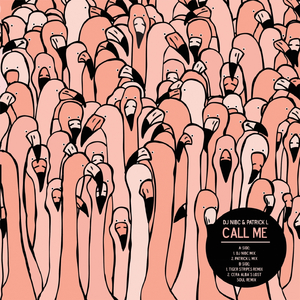Call Me (DJ Nibc Mix Radio Edit)