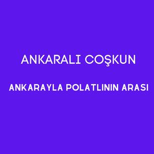 Ankarayla Polatlının Arası