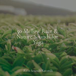 Rainbow Drops and Rhythm