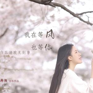 我在等风也等你