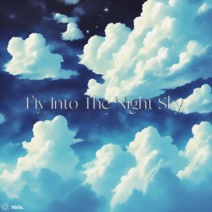 Fly Into The Night Sky