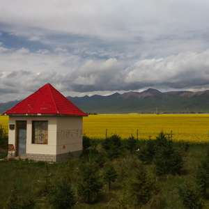 油菜花开的季节(2016DEMO)