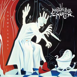 Sidła, wnyki, trendy, nawyki