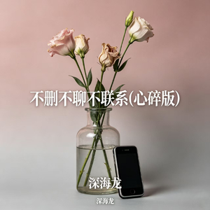 不删不聊不联系(心碎版)