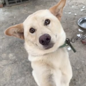 多多少少
