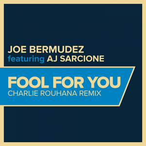 Fool For You (Charlie Rouhana Remix Instrumental)