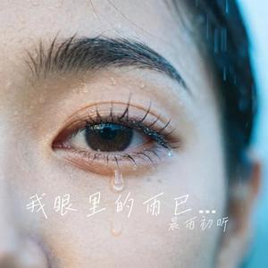 我眼里的雨已淋不到你