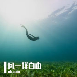 风一样自由