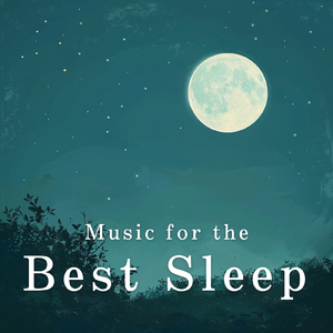 Night's Quiet Reflection