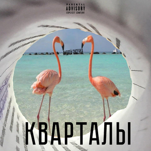 Кварталы (feat. shæddy)