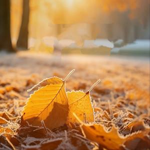 离别的秋天(国粤语版) 洋澜一