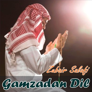 Gamzadan Dil