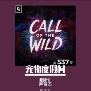 优宠生活 啊哈！ 伴奏