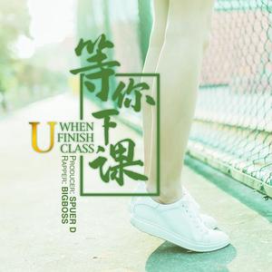 等你下课Plus