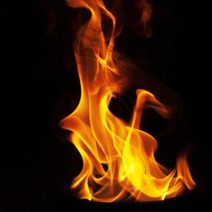 心脏（翻自 声入人心男团）