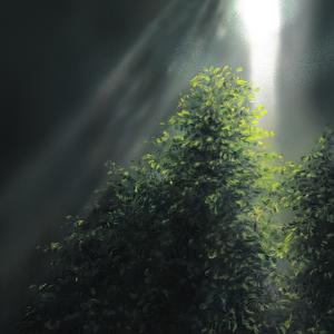 그 잎이 청청하며 가무는 해에도 걱정이 없고