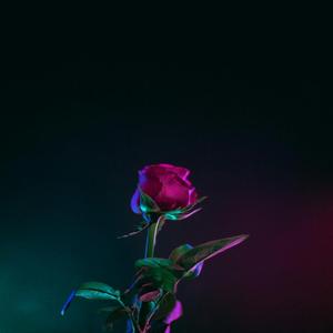 Champion (feat. Thatmanlala)
