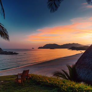 Melody Framed In Sunlight