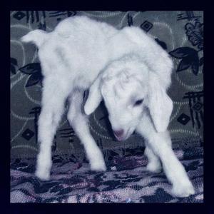 skin burned from the lighter