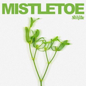 Mistletoe (432Hz)