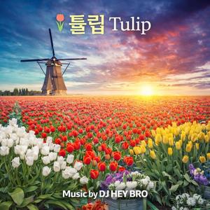 튤립(Tulip)