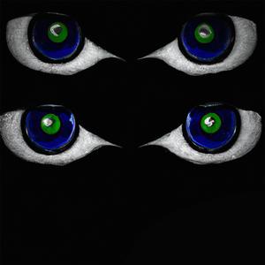 (╯°□°)╯︵ BREAK 壊す