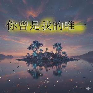 你曾是我的唯一