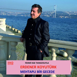 Mehtaplı Bir Gecede