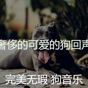 温和训练你的狗梦想