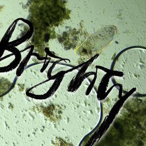 草履虫(prod.SevenJBeatZ)