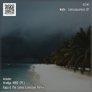 Consciousness (HOOD (PE) Remix)