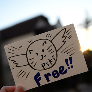 Free!