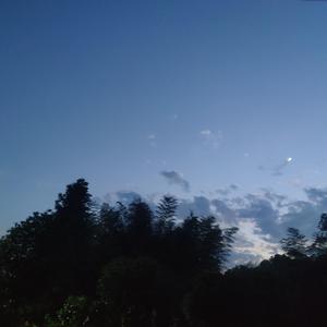 椿（cover沈以诚）