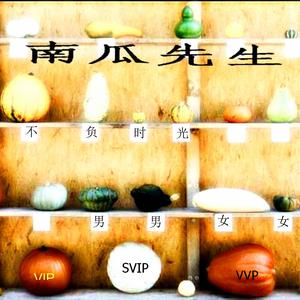 南瓜先生