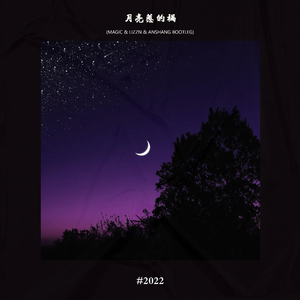 张宇-月亮惹的祸（MAGIC Bootleg）