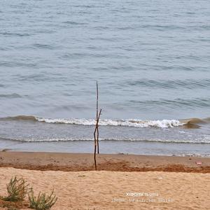 ផ្លូវបែកជាពីរ