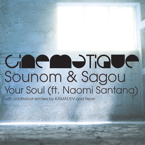 Your Soul (Frezel Remix)