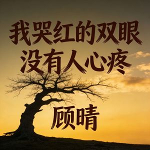 我哭红的双眼没有人心疼(伴奏)