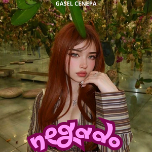 Negado