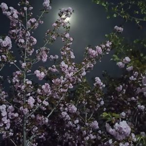 想把我唱给你听