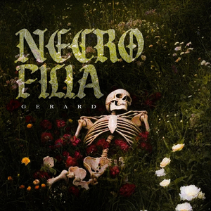 Necrofilia