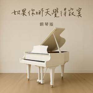 如果你哪天覺得寂寞 (鋼琴版)