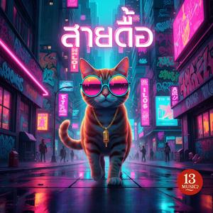 สายดื้อ