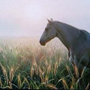 Impresiones de Septiembre