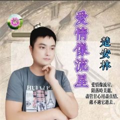 没有归宿的落花