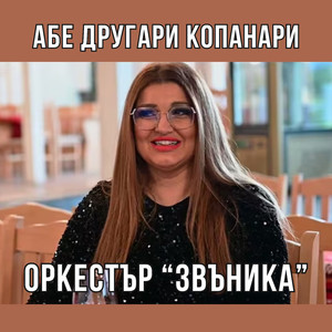 Абе другари копанари