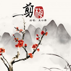 一剪梅 (改编版)(DJ威威版)