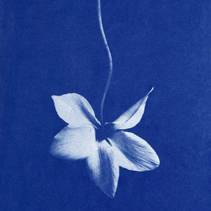 春（翻自 陈文非）