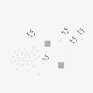 Clouds 8 Version for Bass Flute/Flute and Piano