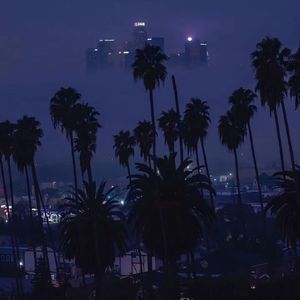 Night Whispers